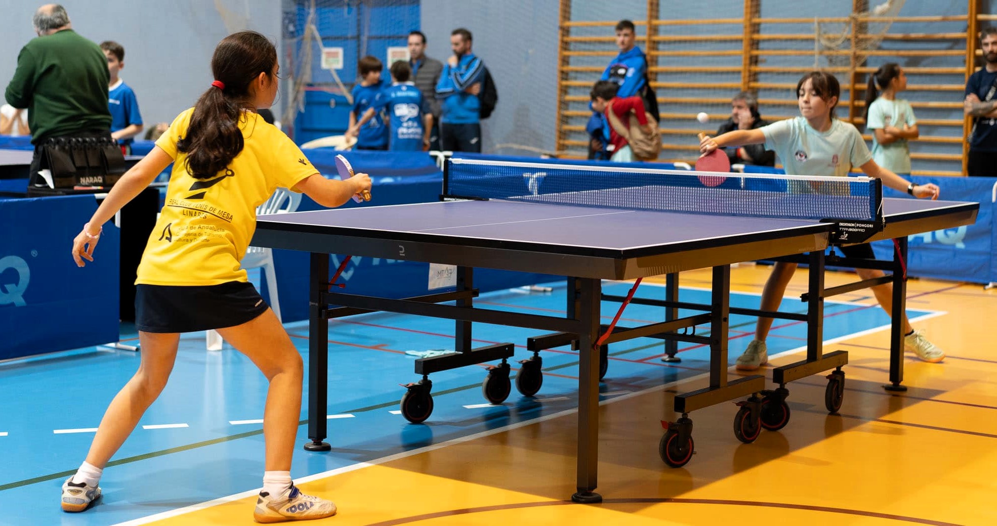 El Real Club de Tenis de Mesa Linares da el pistoletazo de salida a su Escuela en San José