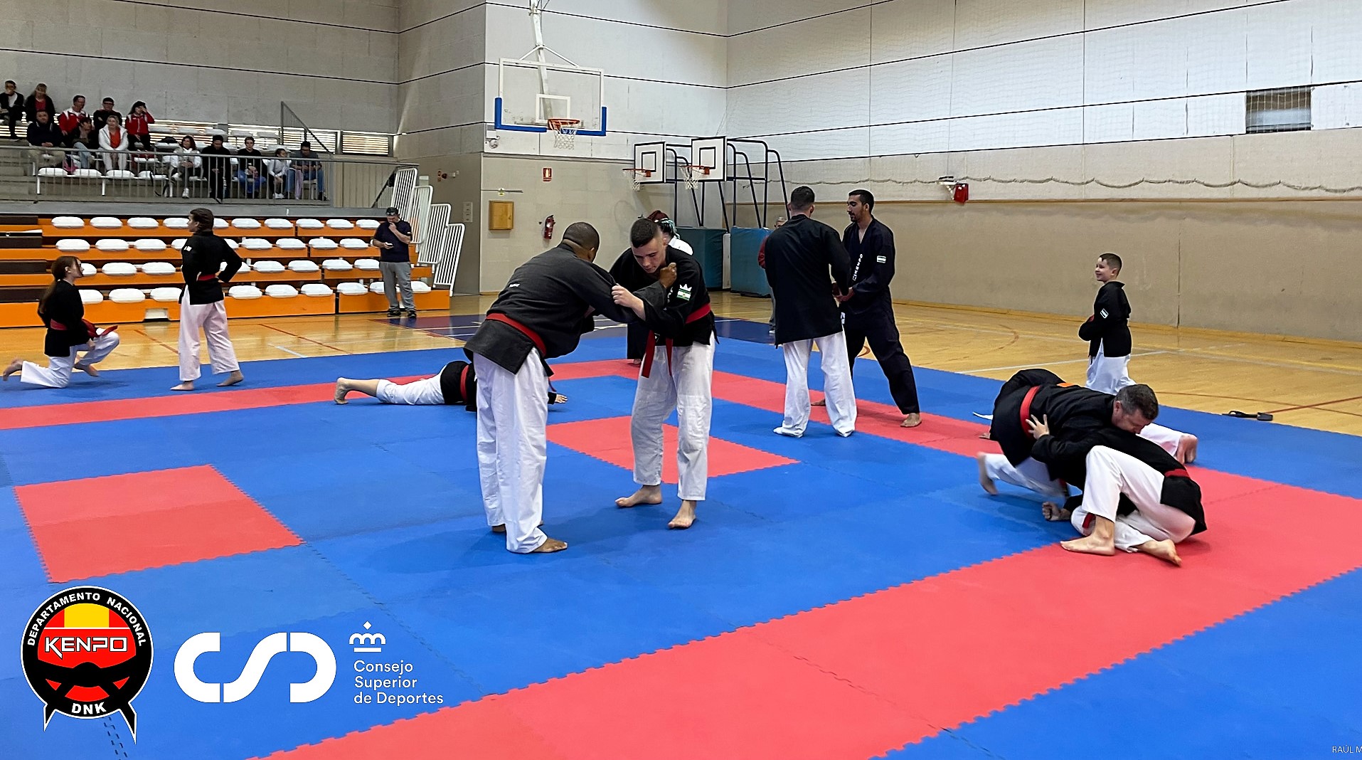 Diecisiete deportistas del CD Estudio Martos representarán a Linares en el Campeonato de Andalucía de Kenpo senior