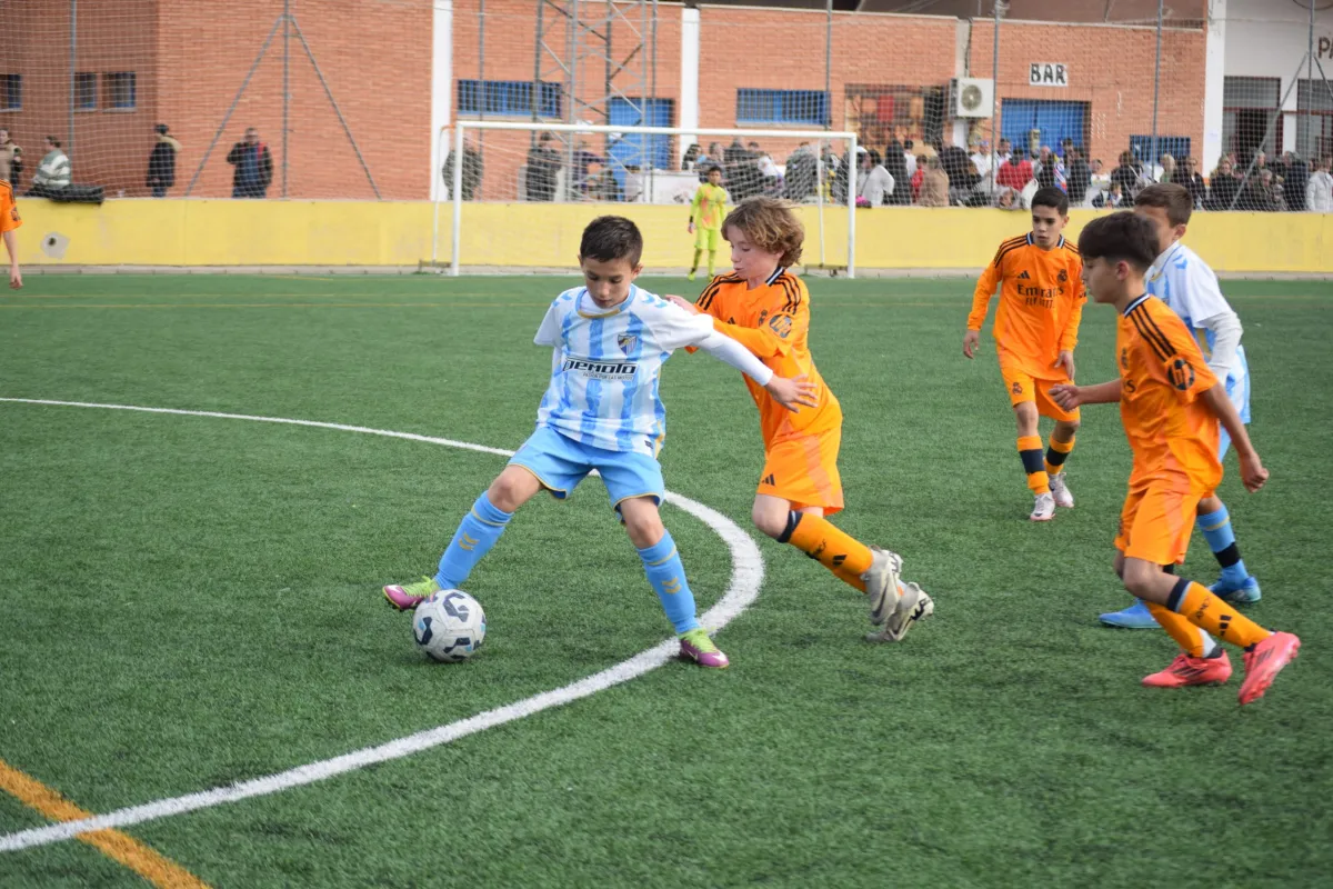 Linares se prepara para acoger una nueva edición del Torneo Internacional Ciudad de Linares de Fútbol 7
